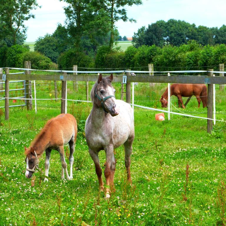 Gite Et Relais Equestre De Marie Tours-en-Vimeu 외부 사진