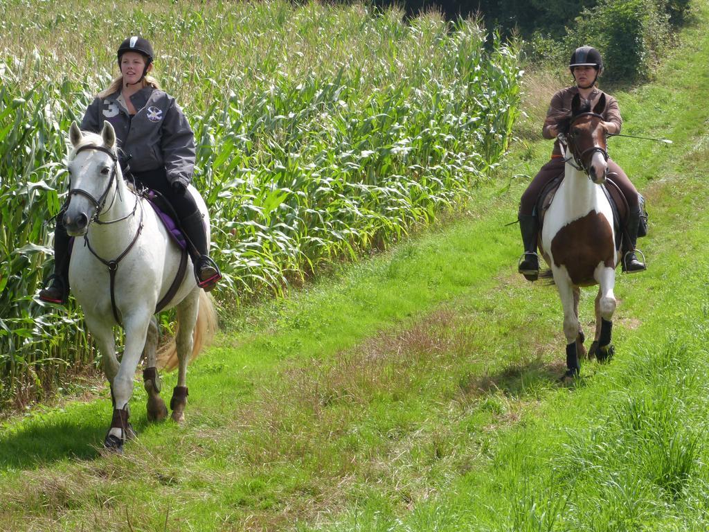 Gite Et Relais Equestre De Marie Tours-en-Vimeu 외부 사진