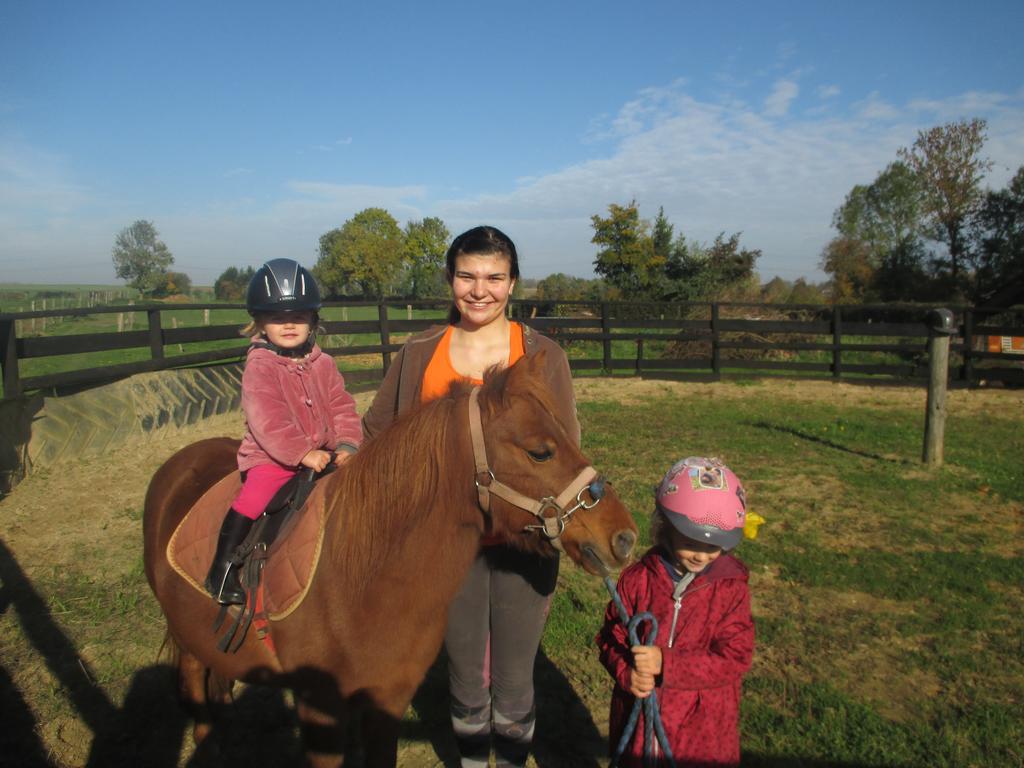Gite Et Relais Equestre De Marie Tours-en-Vimeu 외부 사진