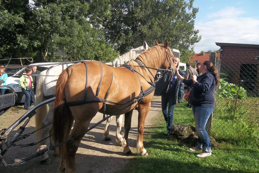 Gite Et Relais Equestre De Marie Tours-en-Vimeu 객실 사진
