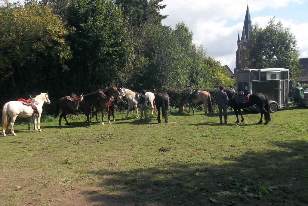 Gite Et Relais Equestre De Marie Tours-en-Vimeu 외부 사진