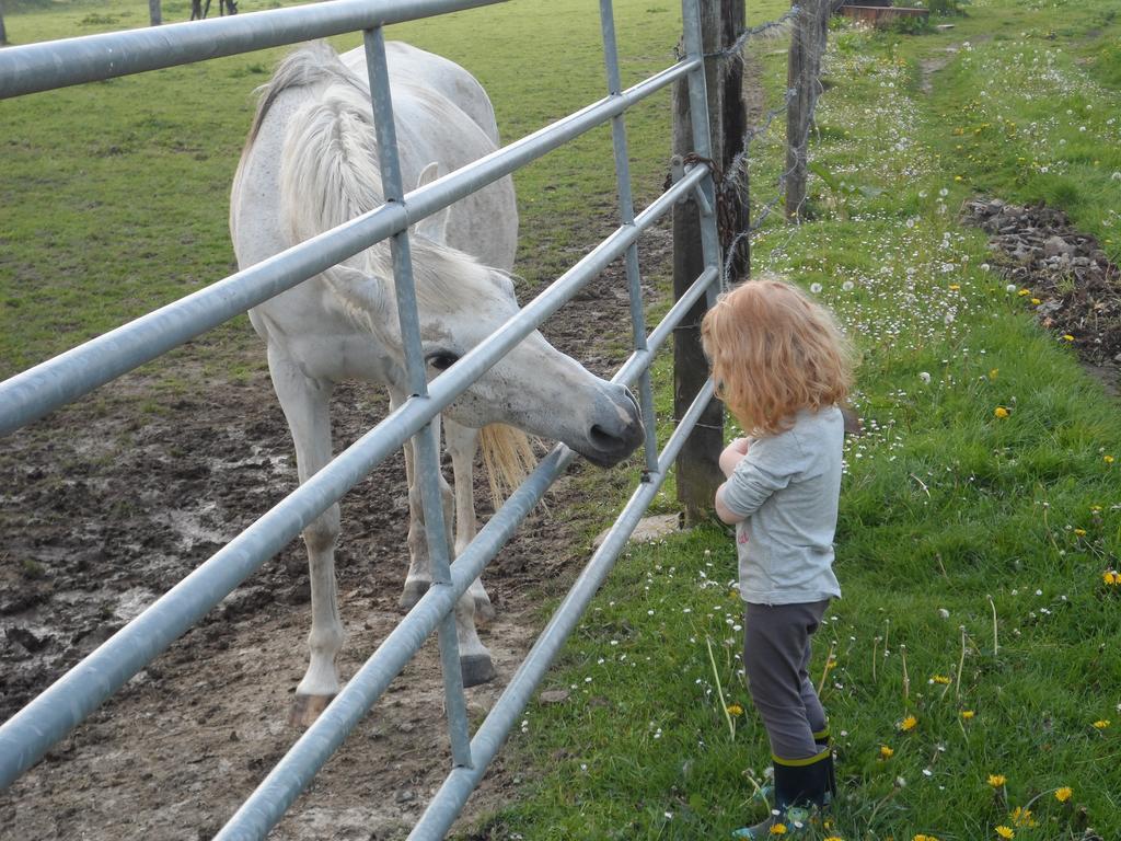 Gite Et Relais Equestre De Marie Tours-en-Vimeu 객실 사진