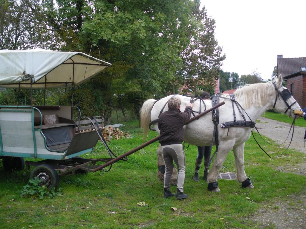 Gite Et Relais Equestre De Marie Tours-en-Vimeu 객실 사진