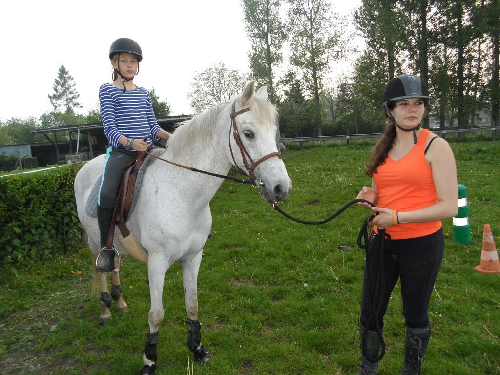 Gite Et Relais Equestre De Marie Tours-en-Vimeu 객실 사진