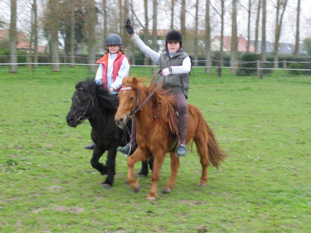Gite Et Relais Equestre De Marie Tours-en-Vimeu 객실 사진