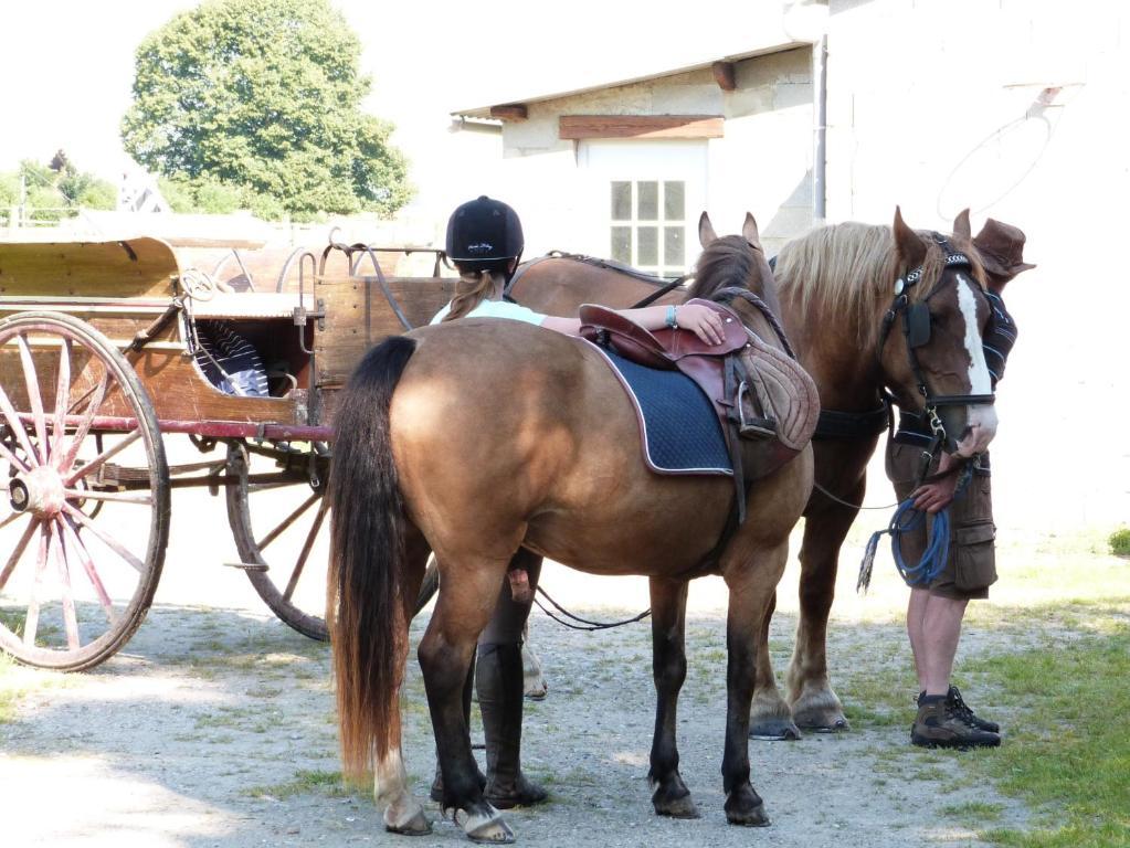 Gite Et Relais Equestre De Marie Tours-en-Vimeu 객실 사진